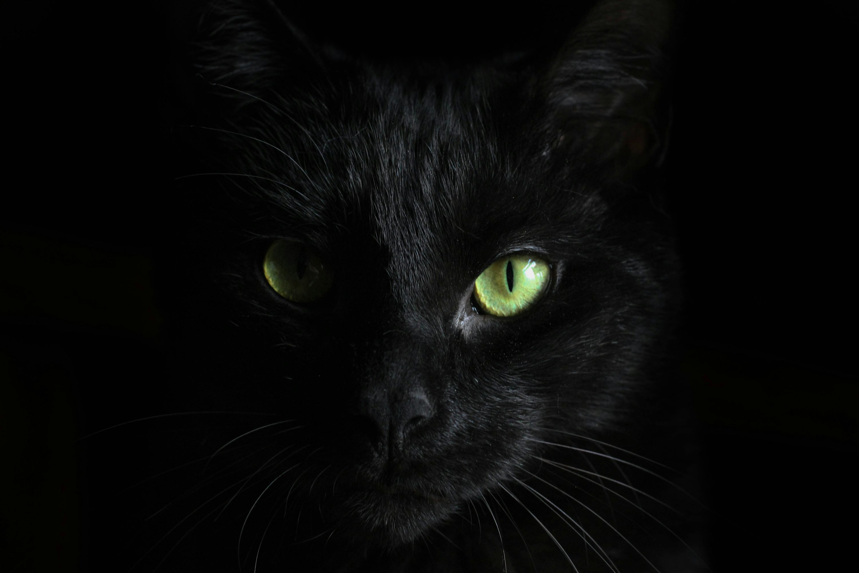 Solid Black
